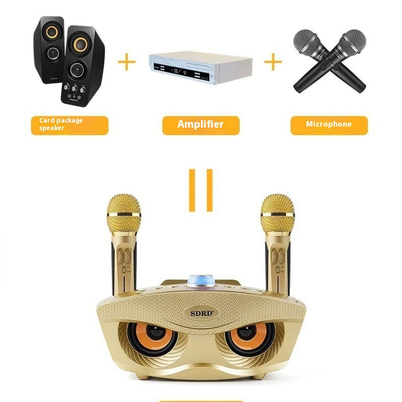 SD306S Bluetooth Speaker Owl Mobile Phone Singing Wireless Microphone Dual Speaker Microphone Speaker Manufacturer Supply