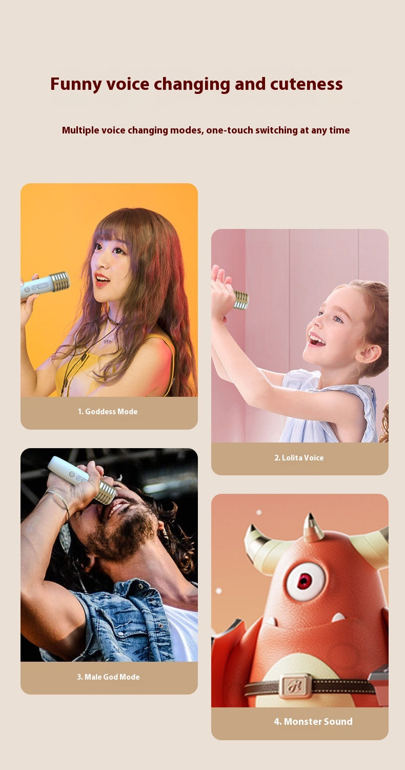 New Bluetooth Speaker Portable Outdoor Bluetooth Audio Wireless Karaoke with Microphone for Home KTV