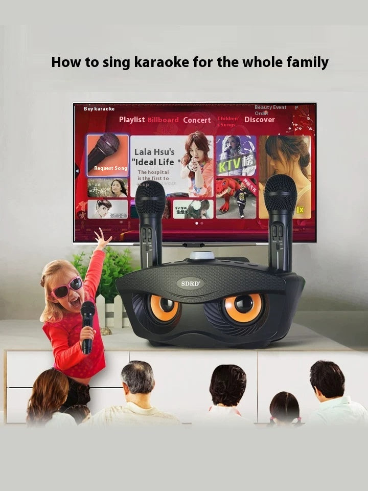 SD306S Bluetooth Speaker Owl Mobile Phone Singing Wireless Microphone Dual Speaker Microphone Speaker Manufacturer Supply
