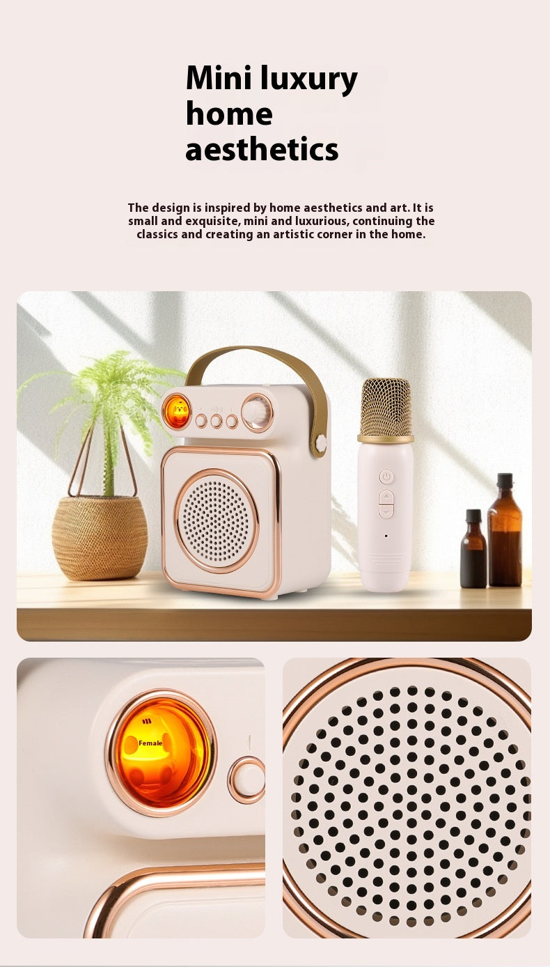 Singing Karaoke Speaker Microphone Combo Home Use Children's Wireless Microphone Smart Bluetooth Speaker Retro